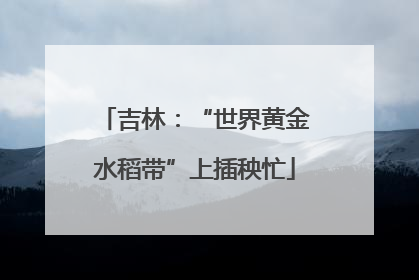吉林：“世界黄金水稻带”上插秧忙