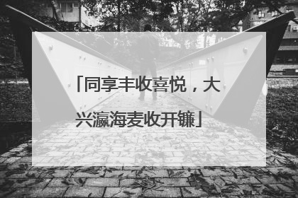 同享丰收喜悦，大兴瀛海麦收开镰