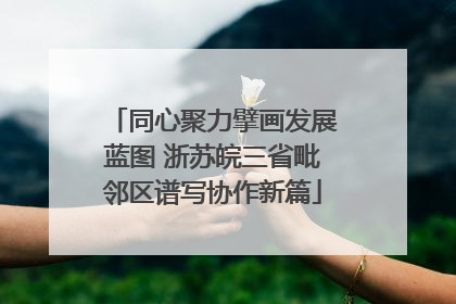 同心聚力擘画发展蓝图 浙苏皖三省毗邻区谱写协作新篇