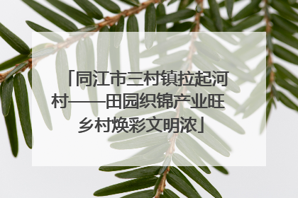 同江市三村镇拉起河村——田园织锦产业旺 乡村焕彩文明浓