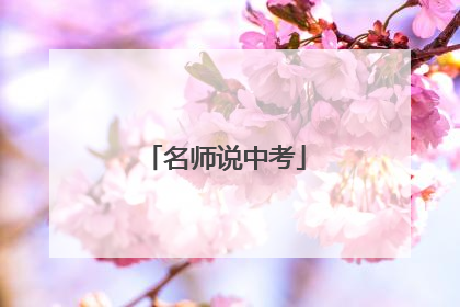 名师说中考