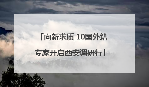 向新求质 10国外籍专家开启西安调研行
