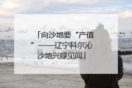 向沙地要“产值”——辽宁科尔沁沙地兴绿见闻