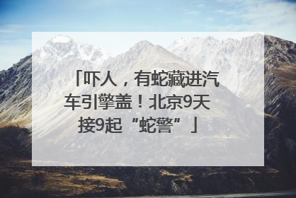 吓人，有蛇藏进汽车引擎盖！北京9天接9起“蛇警”