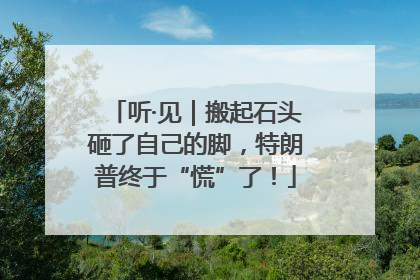 听·见｜搬起石头砸了自己的脚，特朗普终于“慌”了！