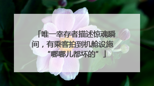 唯一幸存者描述惊魂瞬间，有乘客拍到机舱设施“哪哪儿都坏的”