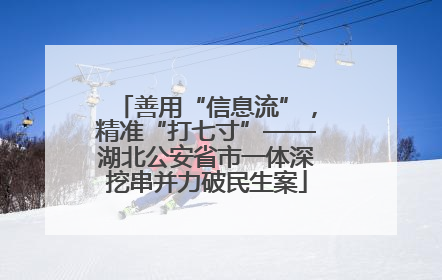 善用“信息流”，精准“打七寸”——湖北公安省市一体深挖串并力破民生案