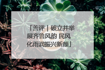 善评｜破立并举展齐鲁风韵 民风化雨润振兴新颜