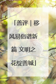 善评｜移风易俗谱新篇 文明之花绽善城