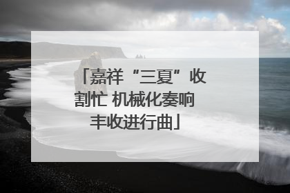 嘉祥“三夏”收割忙 机械化奏响丰收进行曲