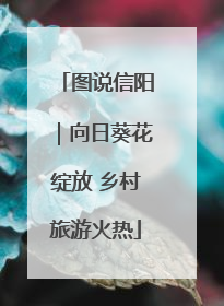 图说信阳｜向日葵花绽放 乡村旅游火热