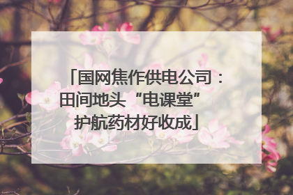 国网焦作供电公司：田间地头“电课堂” 护航药材好收成