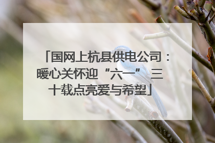 国网上杭县供电公司：暖心关怀迎“六一” 三十载点亮爱与希望