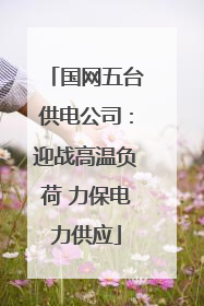国网五台供电公司：迎战高温负荷 力保电力供应