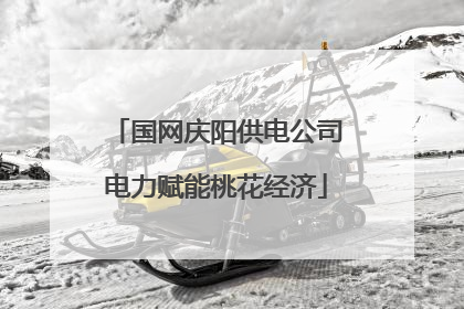 国网庆阳供电公司电力赋能桃花经济