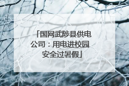 国网武陟县供电公司：用电进校园  安全过暑假