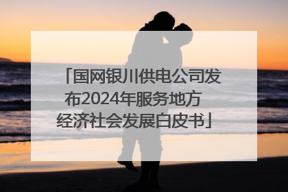 国网银川供电公司发布2024年服务地方经济社会发展白皮书