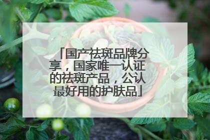 国产祛斑品牌分享，国家唯一认证的祛斑产品，公认最好用的护肤品