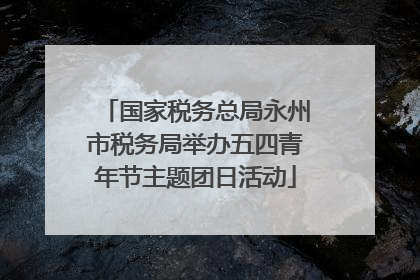 国家税务总局永州市税务局举办五四青年节主题团日活动