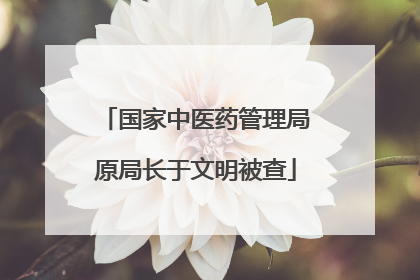 国家中医药管理局原局长于文明被查
