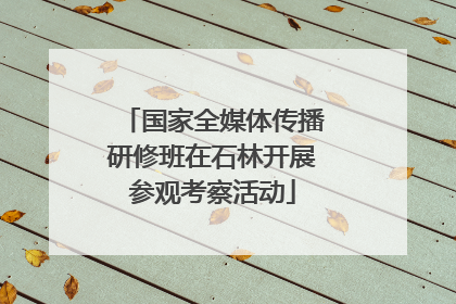 国家全媒体传播研修班在石林开展参观考察活动