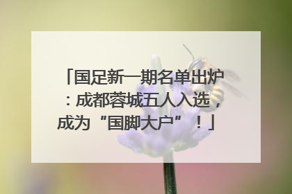 国足新一期名单出炉：成都蓉城五人入选，成为“国脚大户”！