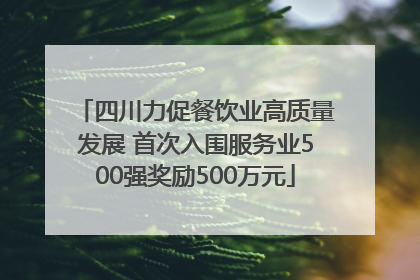 四川力促餐饮业高质量发展 首次入围服务业500强奖励500万元