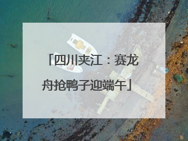 四川夹江：赛龙舟抢鸭子迎端午