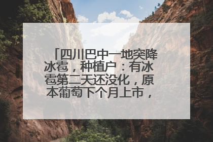 四川巴中一地突降冰雹，种植户：有冰雹第二天还没化，原本葡萄下个月上市，现在全被打落