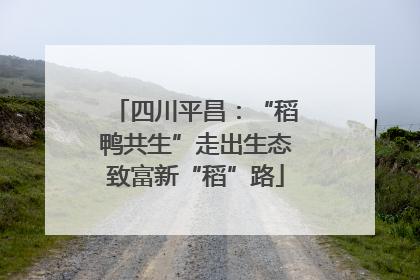 四川平昌：“稻鸭共生”走出生态致富新“稻”路