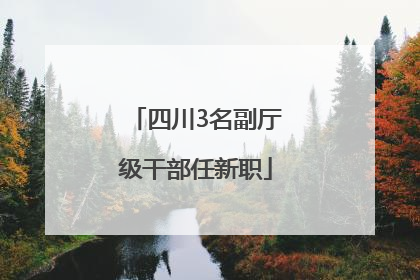 四川3名副厅级干部任新职