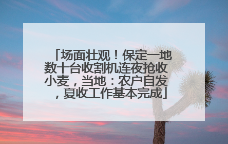 场面壮观！保定一地数十台收割机连夜抢收小麦，当地：农户自发，夏收工作基本完成