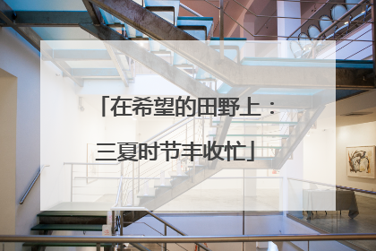 在希望的田野上：三夏时节丰收忙