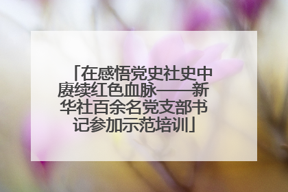 在感悟党史社史中赓续红色血脉——新华社百余名党支部书记参加示范培训