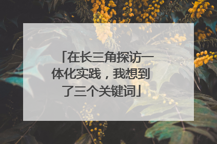 在长三角探访一体化实践，我想到了三个关键词