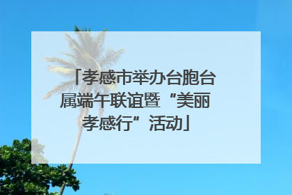 孝感市举办台胞台属端午联谊暨“美丽孝感行”活动