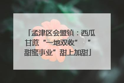 孟津区会盟镇：西瓜甘蔗“一地双收” “甜蜜事业”甜上加甜