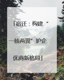 宿迁：构建“一核两翼”护企优商新格局