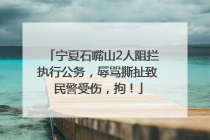 宁夏石嘴山2人阻拦执行公务，辱骂撕扯致民警受伤，拘！