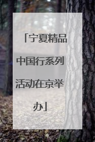 宁夏精品中国行系列活动在京举办