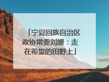 宁夏回族自治区政协常委刘媛：走在希望的田野上