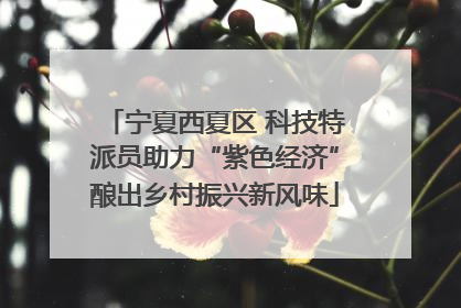 宁夏西夏区 科技特派员助力“紫色经济”酿出乡村振兴新风味