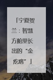 宁夏贺兰：智慧方舱里长出的“金疙瘩”