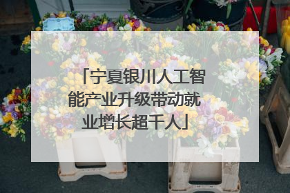 宁夏银川人工智能产业升级带动就业增长超千人