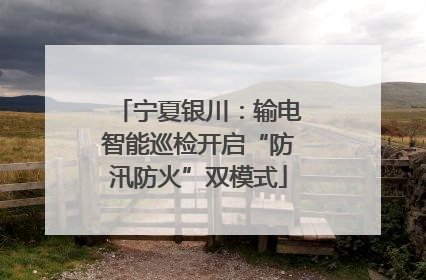 宁夏银川：输电智能巡检开启“防汛防火”双模式