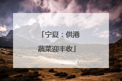 宁夏：供港蔬菜迎丰收