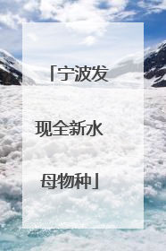 宁波发现全新水母物种