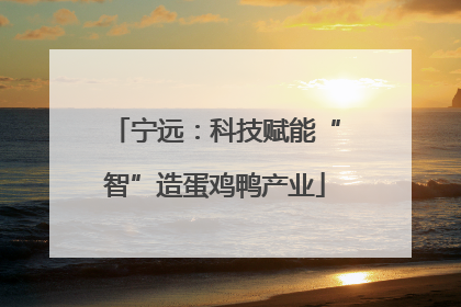 宁远：科技赋能“智”造蛋鸡鸭产业