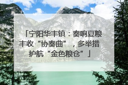 宁阳华丰镇：奏响夏粮丰收“协奏曲”，多举措护航“金色粮仓”