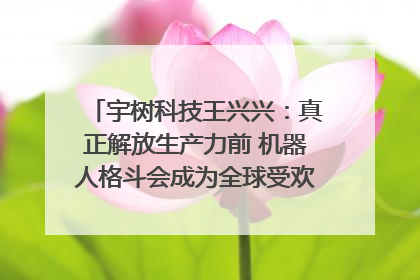 宇树科技王兴兴：真正解放生产力前 机器人格斗会成为全球受欢迎的赛事｜科技观察